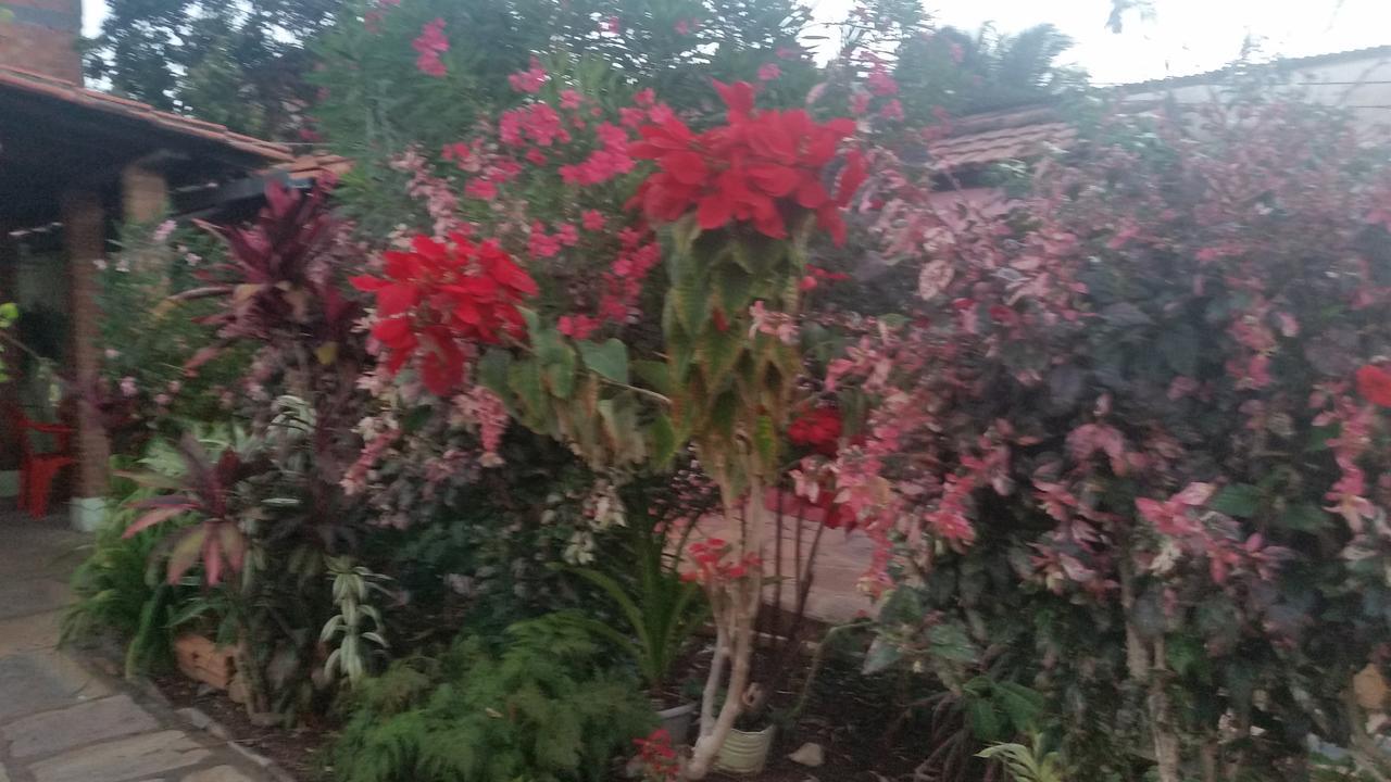 Suites Dona Ilda Pirenópolis المظهر الخارجي الصورة